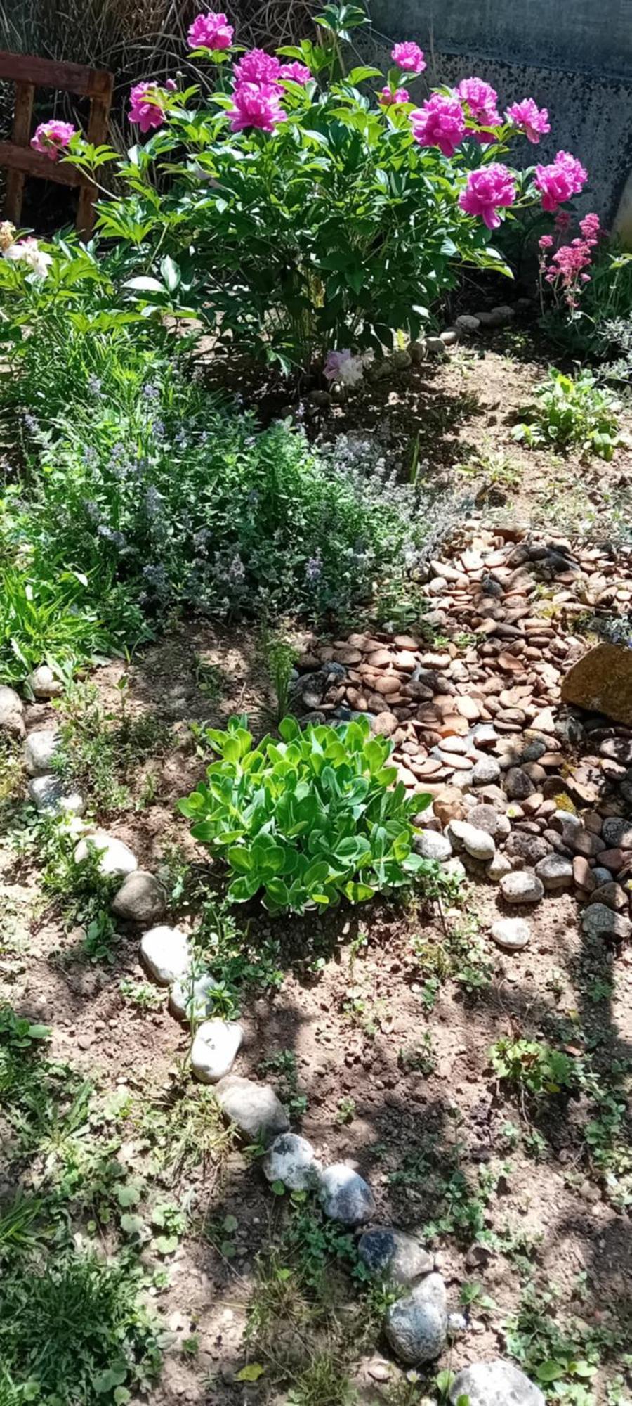 Art Room With Outdoor Living Любляна Екстериор снимка